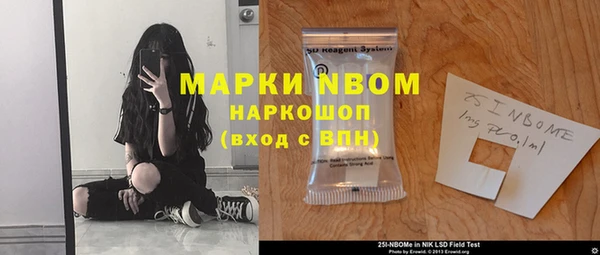 индика Верхнеуральск