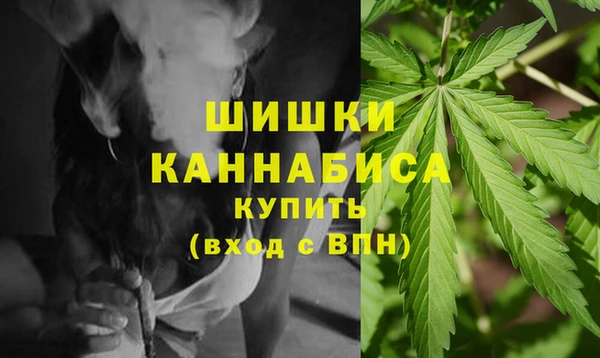индика Верхнеуральск