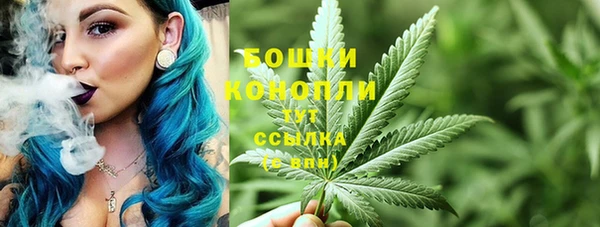 индика Верхнеуральск