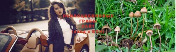 индика Верхнеуральск