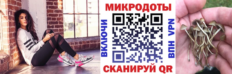 закладки  blacksprut ONION  Галлюциногенные грибы Psilocybe  Севастополь 